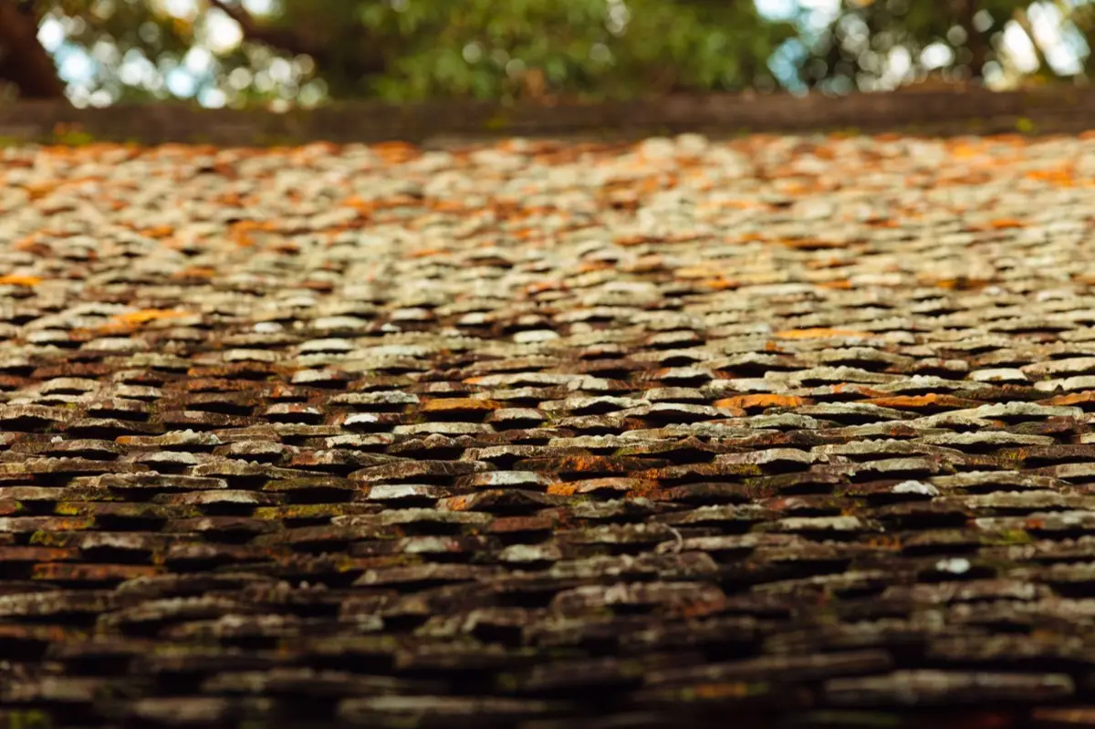 Roof Inspections in Tyler, TX